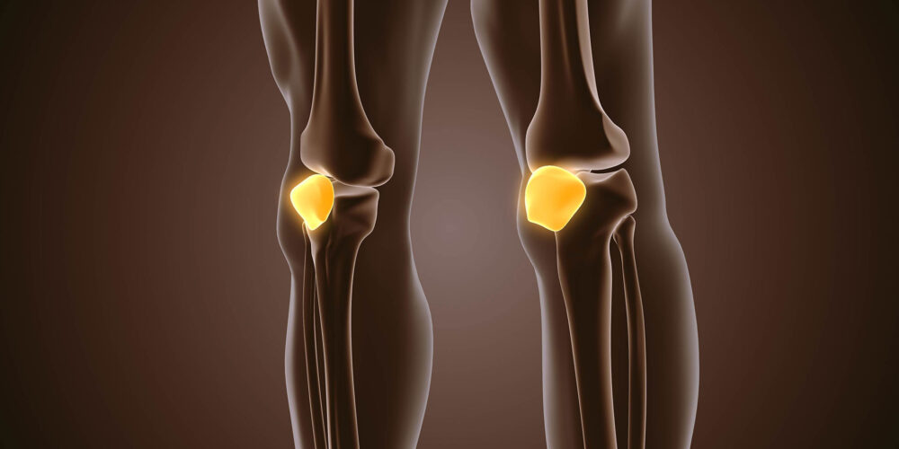 shutterstock_2180321095 shutterstock_2180321095