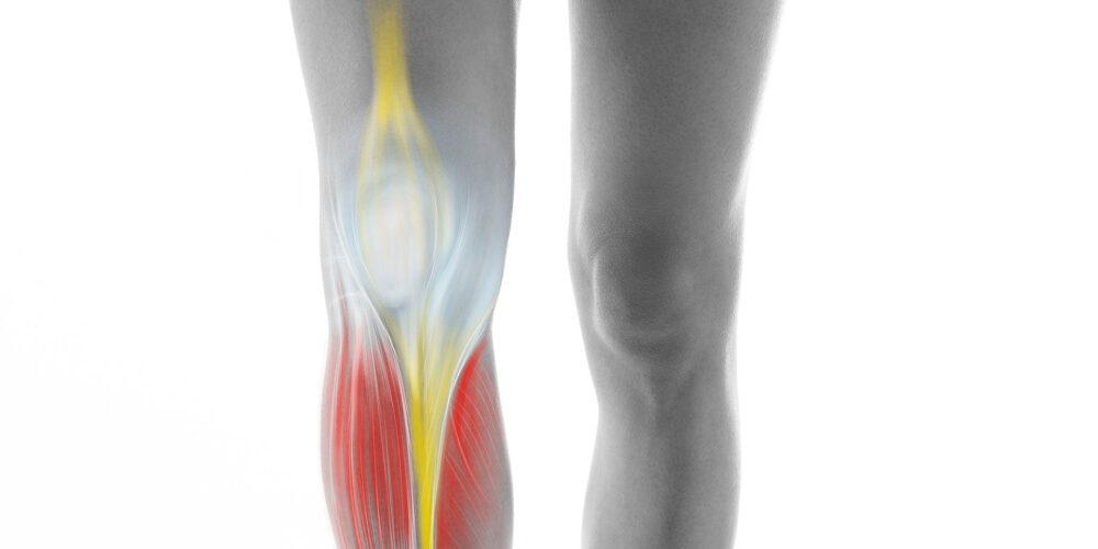 shutterstock_2268004713 shutterstock_2268004713