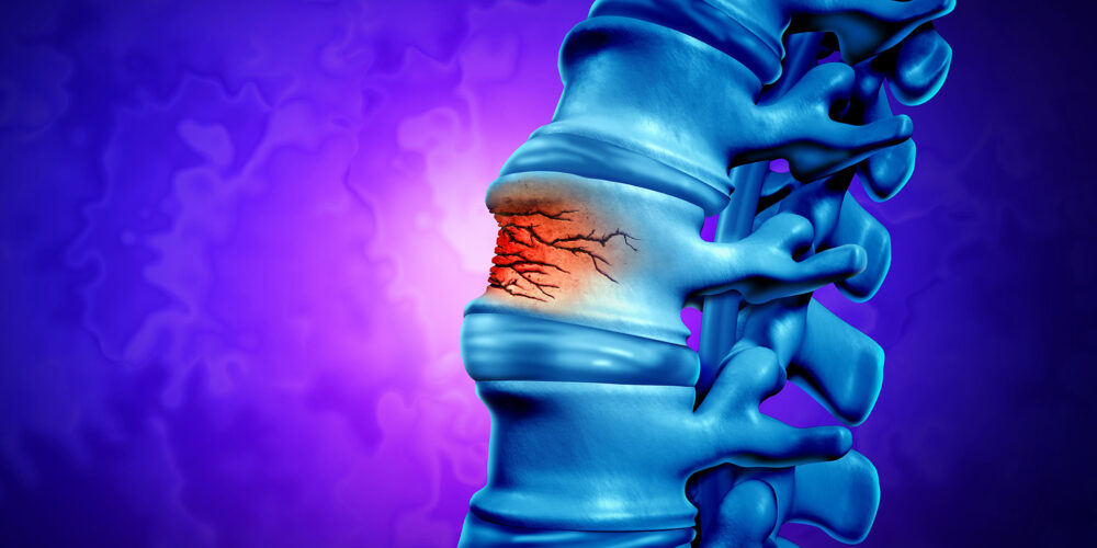 shutterstock_2280406327 shutterstock_2280406327